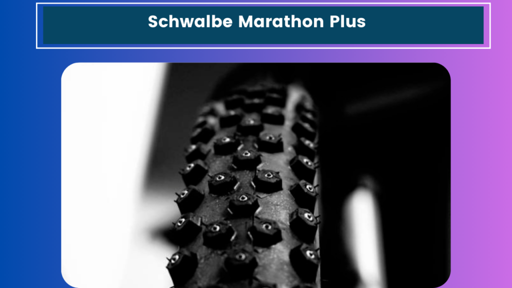 Schwalbe Marathon Plus