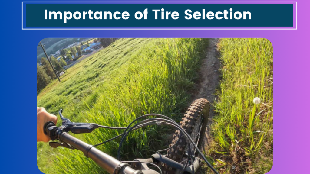 Importance of Tire Selection