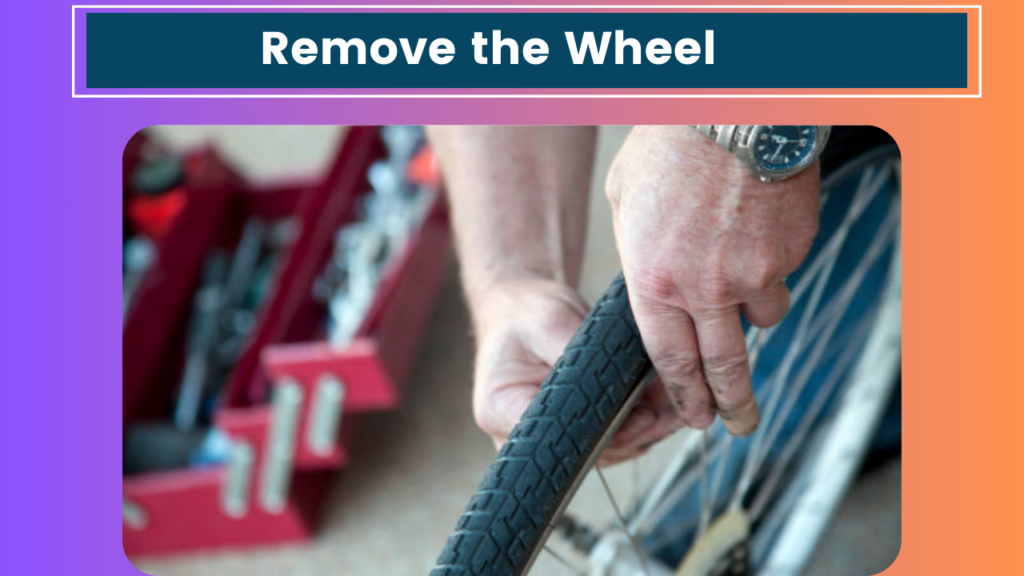 Remove the Wheel