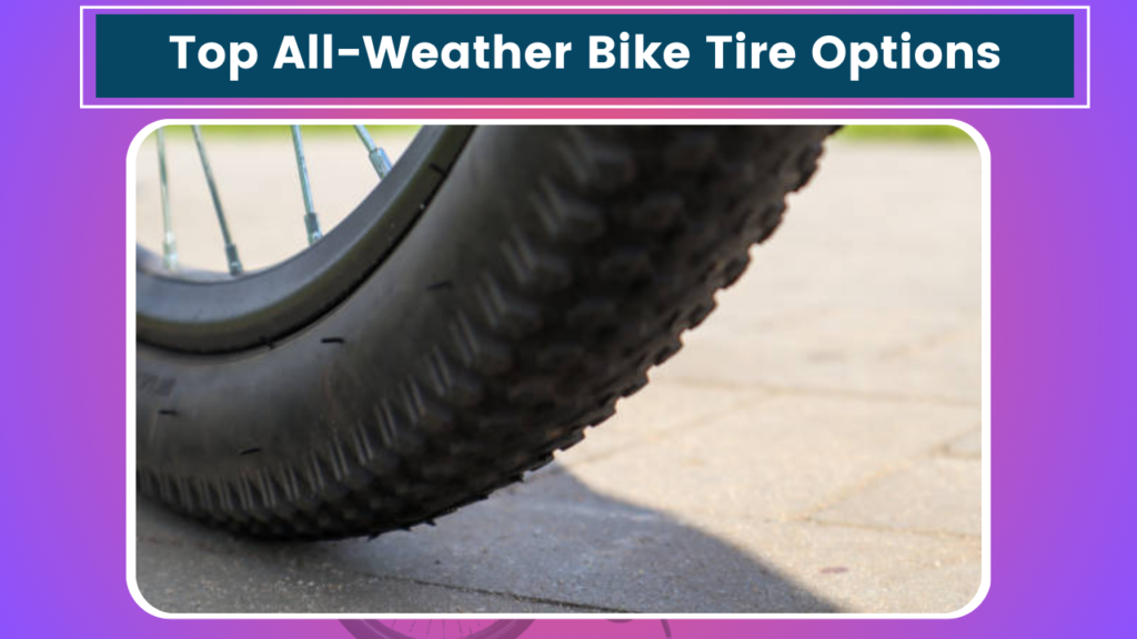 Top All-Weather Bike Tire Options